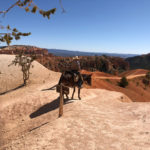 GrandCanyon2019-139