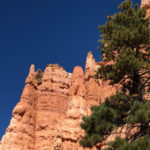 GrandCanyon2019-147