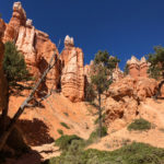 GrandCanyon2019-149