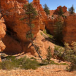 GrandCanyon2019-151