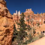 GrandCanyon2019-152