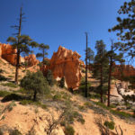 GrandCanyon2019-153