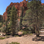 GrandCanyon2019-154