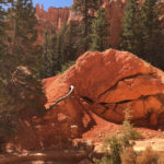 GrandCanyon2019-157