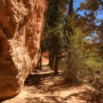 GrandCanyon2019-158
