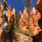 GrandCanyon2019-159