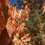 GrandCanyon2019-160