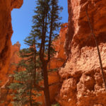 GrandCanyon2019-162