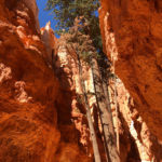 GrandCanyon2019-163