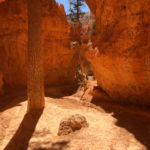 GrandCanyon2019-165