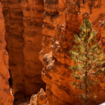 GrandCanyon2019-169