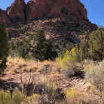 GrandCanyon2019-216