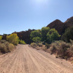 GrandCanyon2019-220