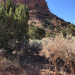 GrandCanyon2019-222