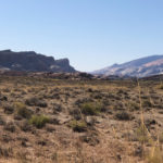 GrandCanyon2019-224