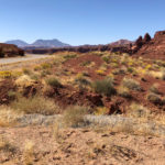 GrandCanyon2019-237