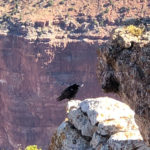 GrandCanyon2019-302