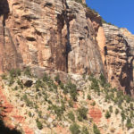GrandCanyon2019-318