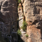 GrandCanyon2019-327