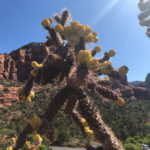 GrandCanyon2019-362