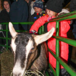NewProvidenceTreeLighting2019-1