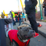 BerkeleyHeightsWinterFest2019-11