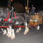 LindenTreeLightingDec19-2