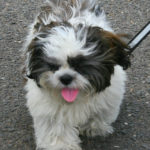 RiberaClubPicnic2007-25