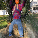 #10 – Scary the Scarecrow