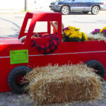 CranfordScarecrowWalk2020-49