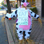 CranfordScarecrowWalk2020-6