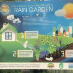 Rain Garden Ceremony 7