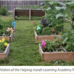 Deb Stuart Helping Hands Garden