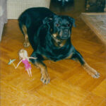 SonsofPetersownPicnics 999to2006part2-13