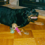 SonsofPetersownPicnics 999to2006part2-33