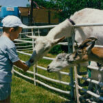 SonsofPetersownPicnics 999to2006part2-76