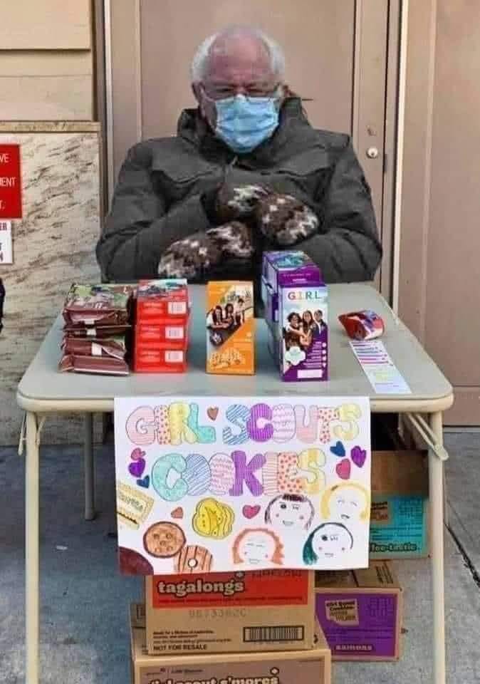 Westfield girl scout cookies bernie