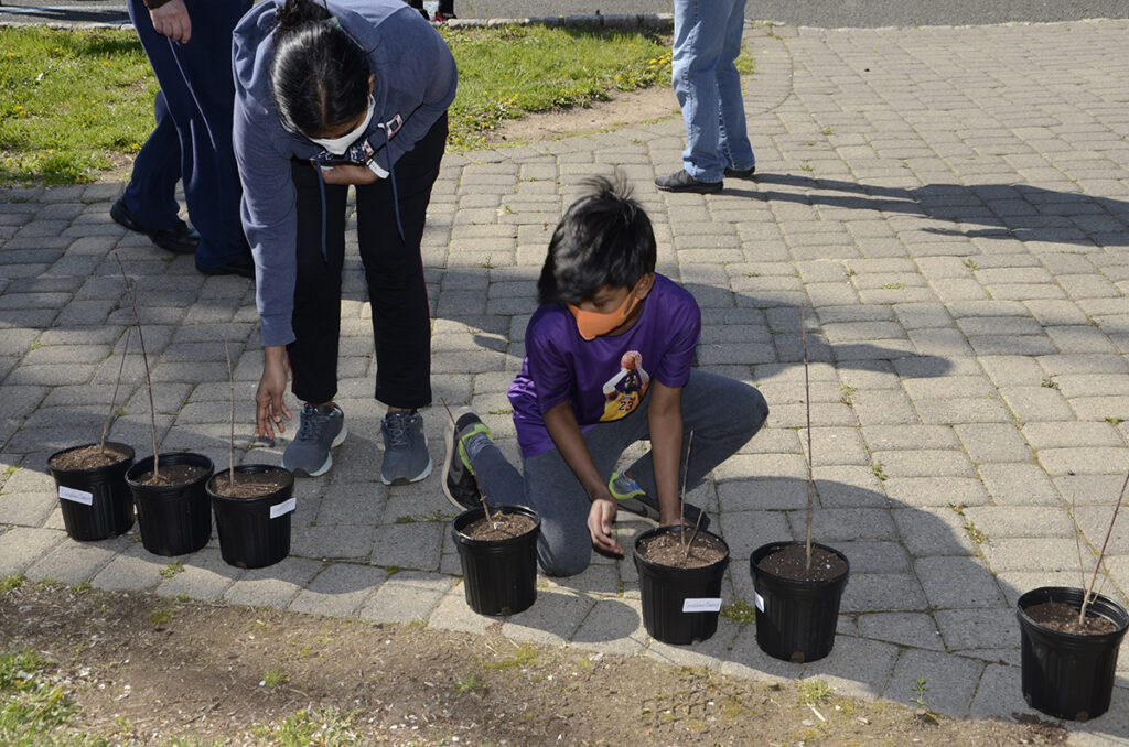 Fanwood Arbor Day 2021