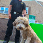 NewProvidenceFirstNight2021-7