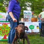 RoselleParkFirstNight2021-1