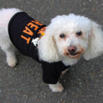 BerkeleyHeightsTrunkorTreat2021-5