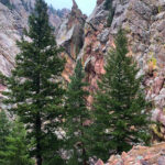 RockyMountains2021-28