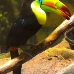 RockyMountains2021-53