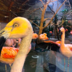 RockyMountains2021-67