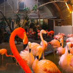 RockyMountains2021-68