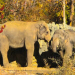 RockyMountains2021-71