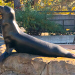 RockyMountains2021-74