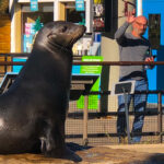 RockyMountains2021-75