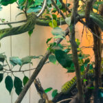 RockyMountains2021-77