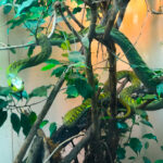 RockyMountains2021-78